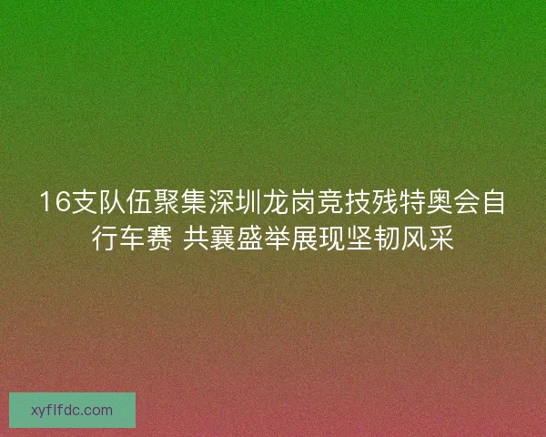 16支队伍聚集深圳龙岗竞技残特奥会自行车赛 共襄盛举展现坚韧风采