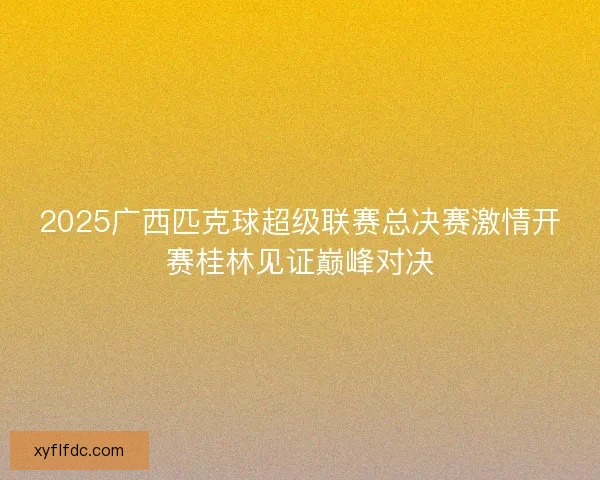 2025广西匹克球超级联赛总决赛激情开赛桂林见证巅峰对决