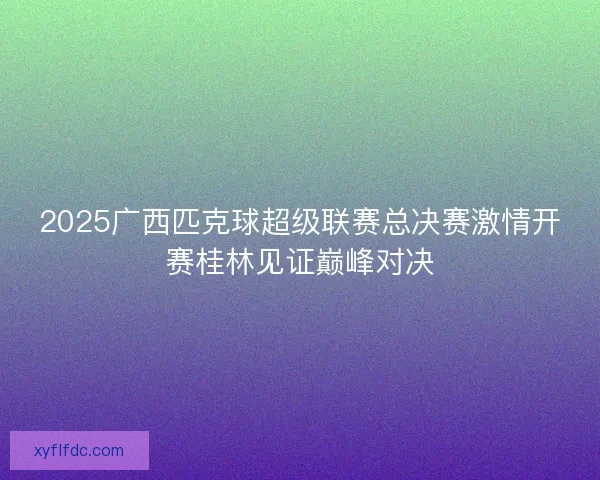 2025广西匹克球超级联赛总决赛激情开赛桂林见证巅峰对决